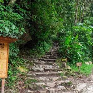 Camino a machupicchu