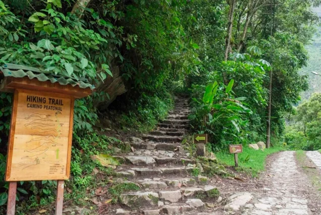 Camino a machupicchu